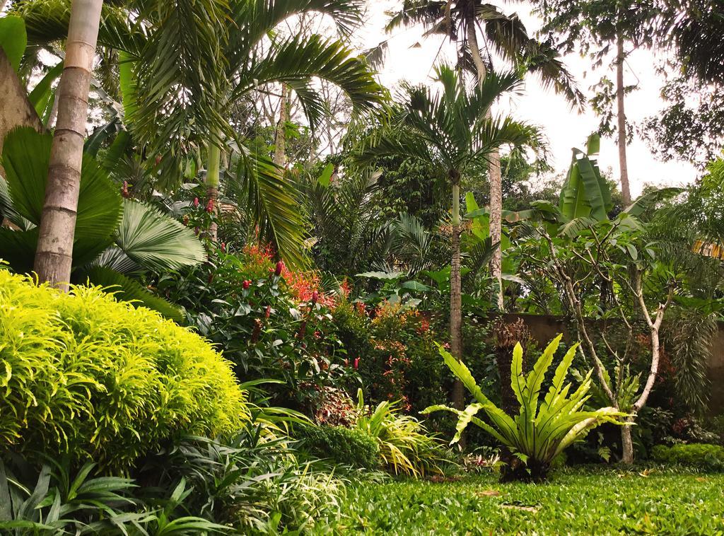 Villa Tepi Ubud  Room photo